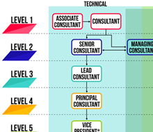 Org Chart: Career Levels