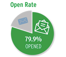 Email Marketing Campaign Statistics Report